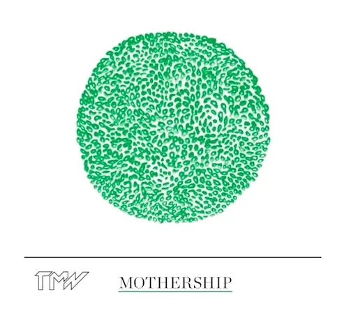 TMW Mothership Chenin Blanc Bottle