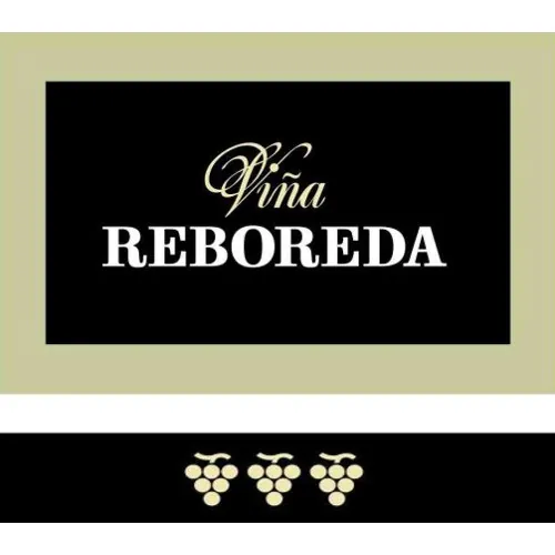 Vina Reboreda Blanco Bottle