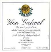 Vina Godeval Blanco Bottle