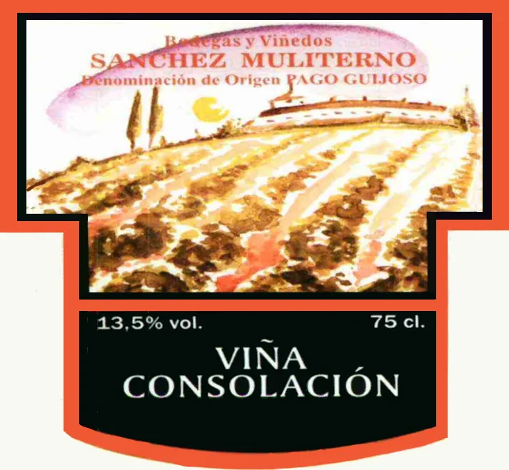 Vino de Pago Guijoso Vina Consolacion Bottle