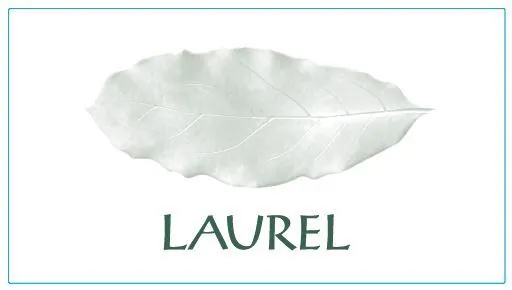 Clos Erasmus Laurel Bottle