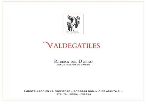 Valdegatiles Bottle