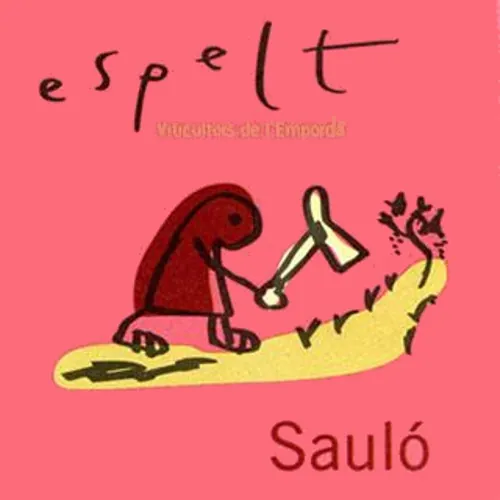 Saulo Tinto Bottle