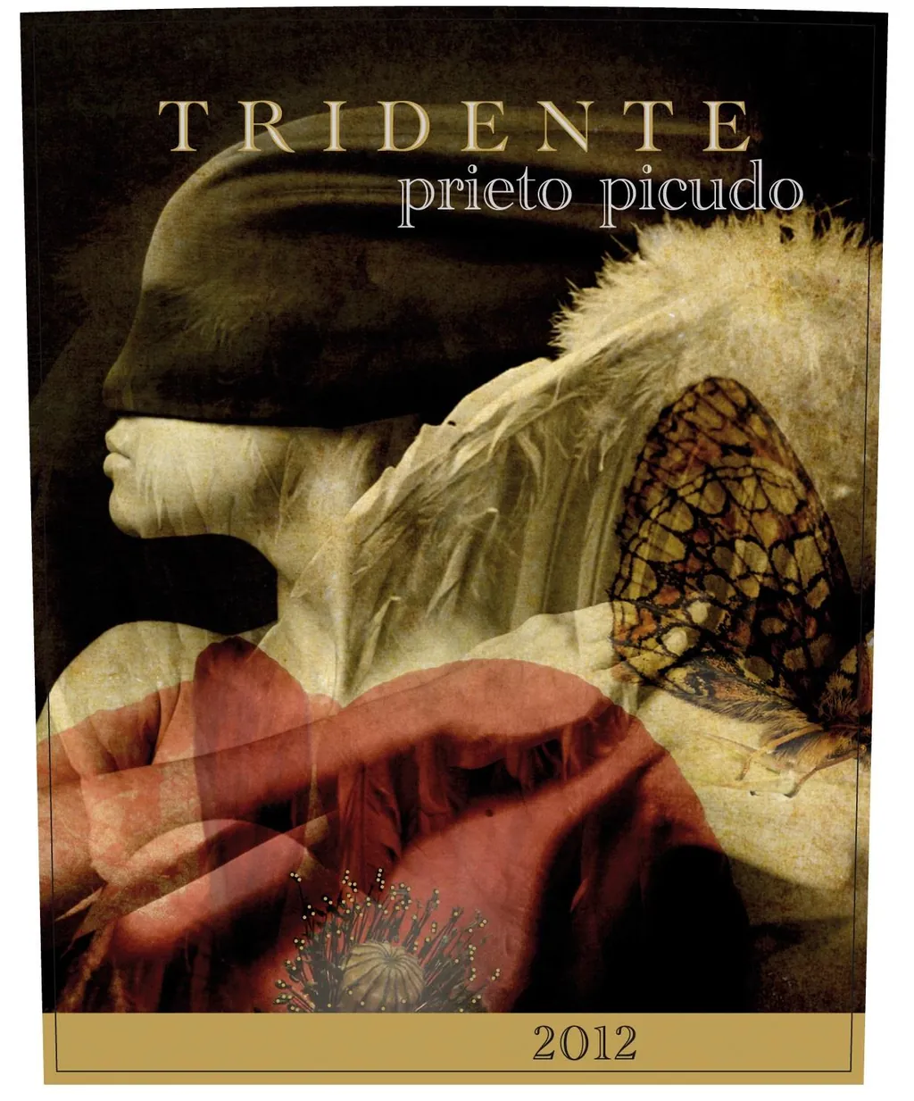 Prieto Picudo Vino de la Tierra Bottle