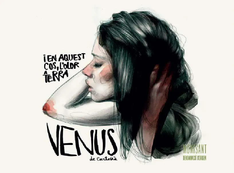 Venus de Cartoixa Blanco Bottle