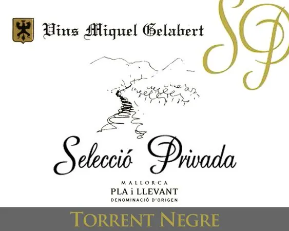 Torrent Negre Seleccio Privada Cabernet Sauvgnon Bottle