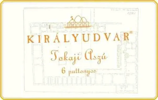 Tokaji Aszu 6 Puttonyos Bottle