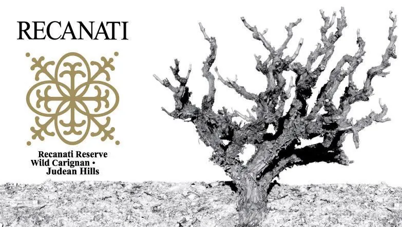 Reserve Wild Carignan Bottle