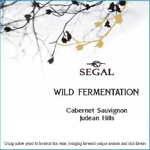 Wild Fermentation Cabernet Sauvignon Bottle
