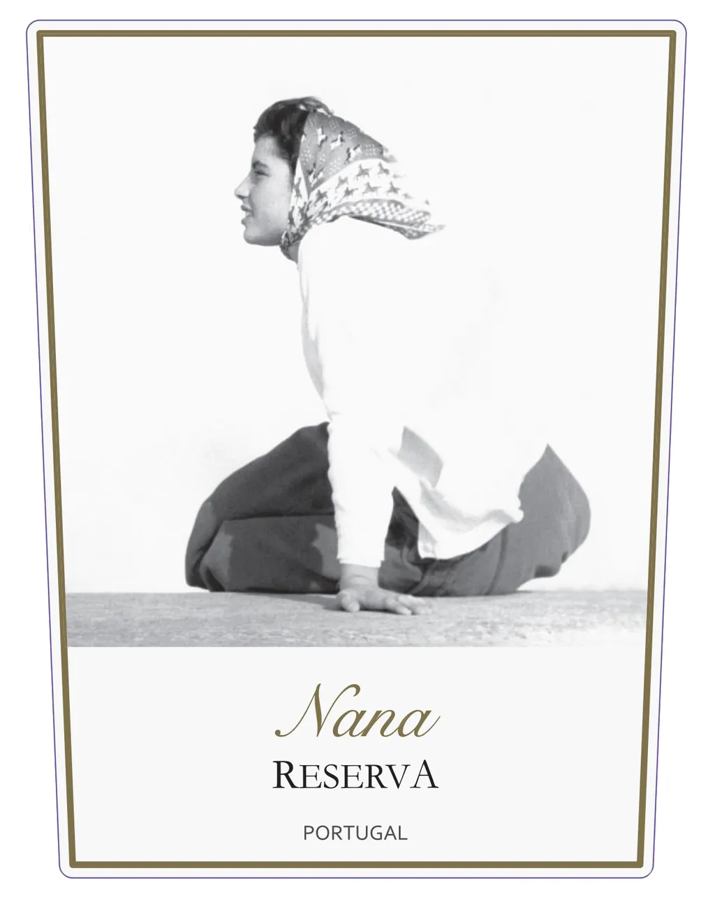 Nana Reserva Tinto Bottle