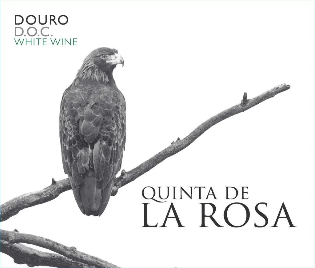 Douro Branco Bottle