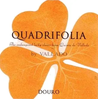 Quadrifolia Bottle