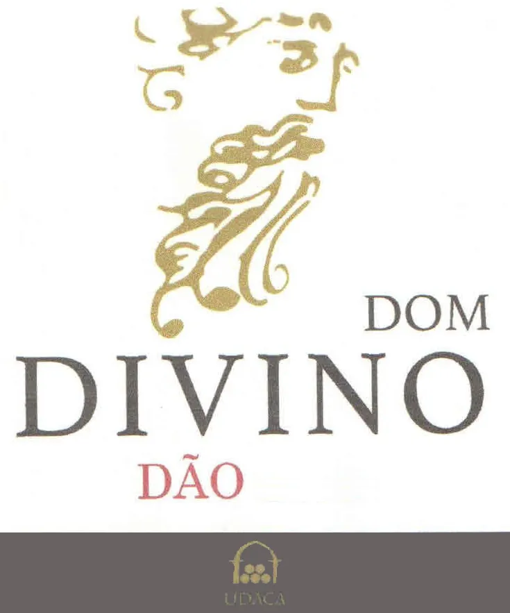 Dom Divino Tinto Bottle