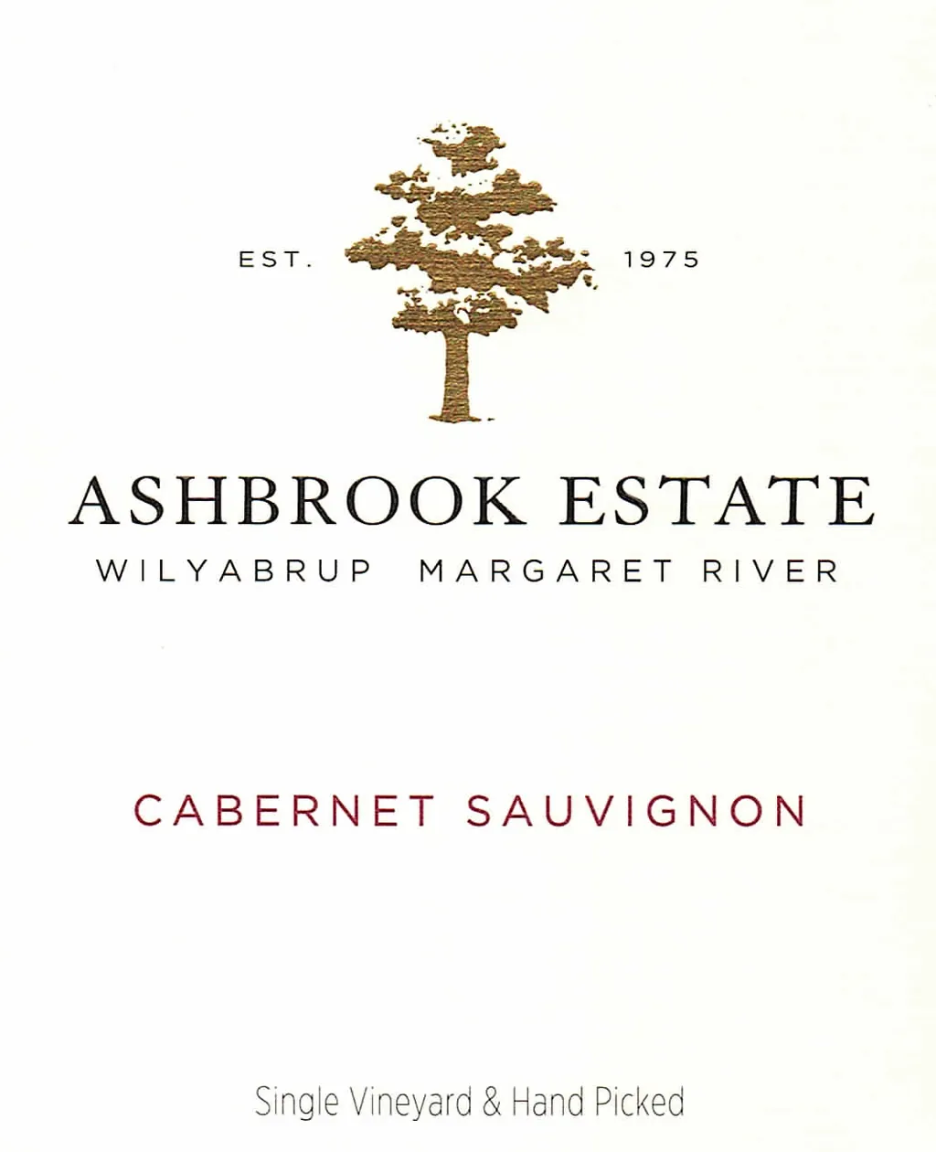 Cabernet Sauvignon Bottle