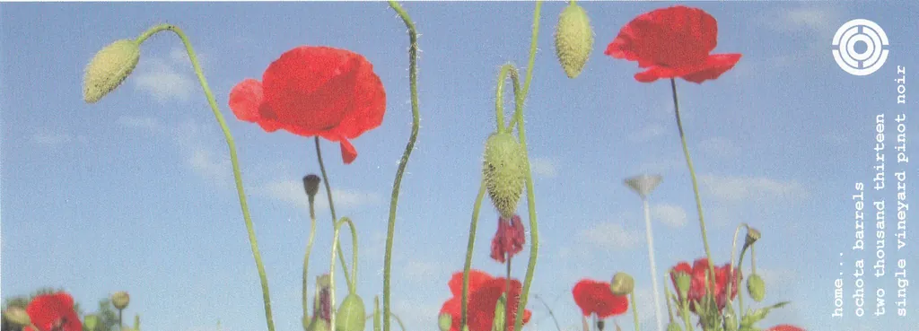 Home Pinot Noir Bottle