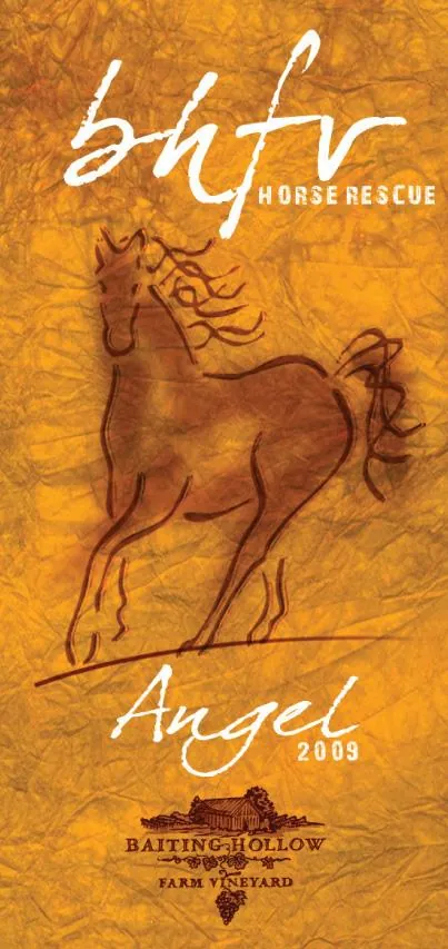 Horse Rescue Angel Bottle