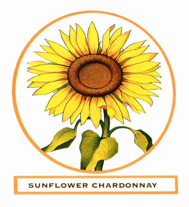 Sunflower Special Reserve Chardonnay Bottle