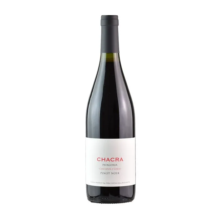 Pinot Noir 55 Patagonia Bottle