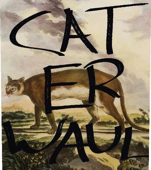 Cabernet Sauvignon Sonoma County Bottle