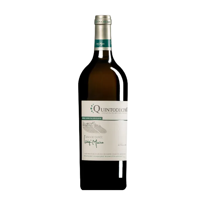 Campania Grande Cuvee Luigi Moio Bottle