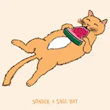 Watermelon Cat Carbonic Nebbiolo Bottle