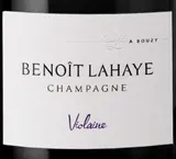 Brut Nature Violaine Bottle