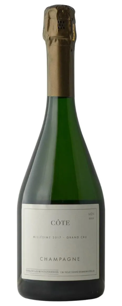 Mesnil Oger Blanc de Blancs Bottle