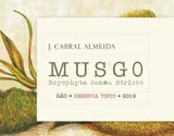 Musgo Reserva Tinto Bottle