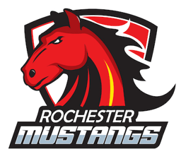 Rochester Squirt B2 Gold