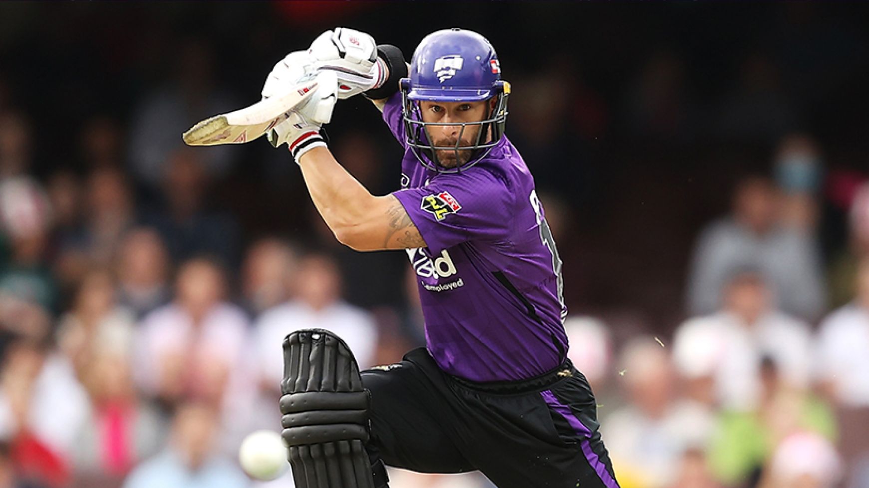 BBL 11 | Matthew Wade’s captain’s knock and bowlers guide Renegades to victory past Sixers