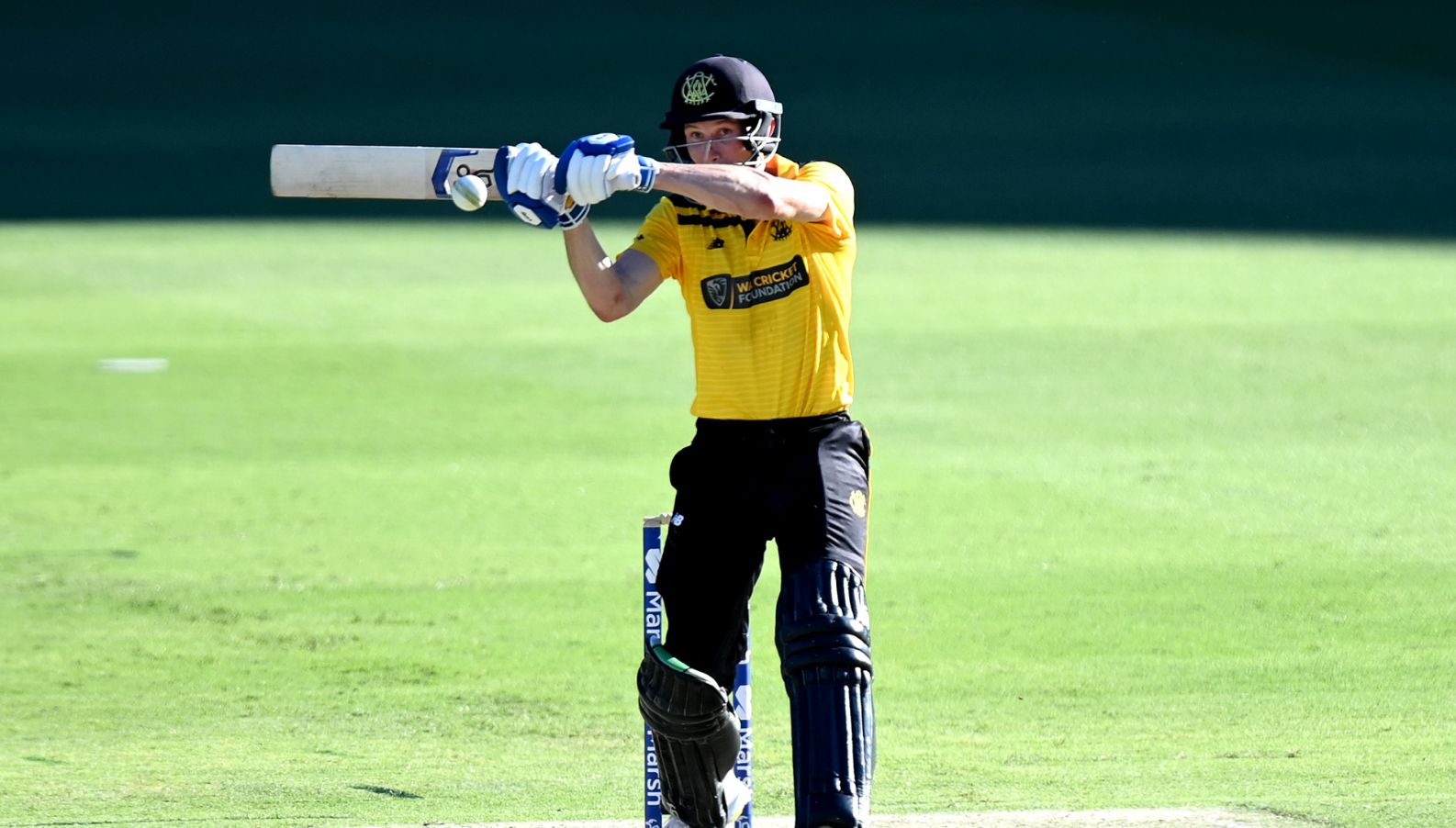 Australia One Day Cup | Cameron Bancroft century lifts Western Australia to win over Queensland