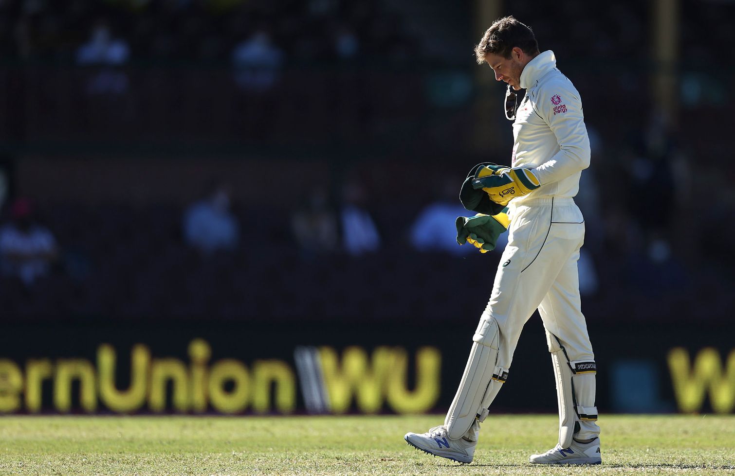 Australia Test skipper Tim Paine to undergo neck surgery, but insists will be fit for Ashes