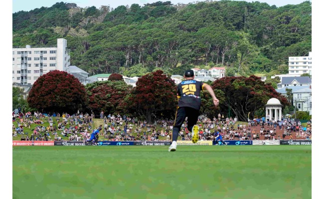 Otago Volts vs Auckland Aces | Match 16 Preview, Predictions, Fantasy XI