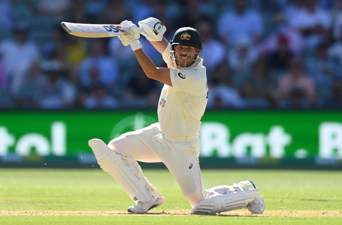 The Ashes | Day-Night Test, Day 1: David Warner misses out on century two games in a row