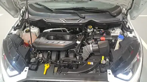 Ford Ecosport 2.0 Gdi Storm 170Cv 4X4 2019