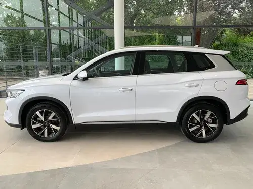 BYD Song Pro GS (ADAS) 2026