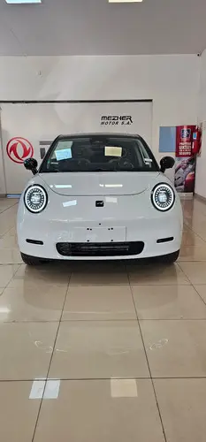 Ev 30x 0.0 (41Kwh) 2025
