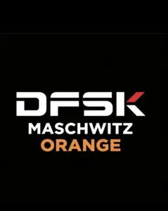 Dfsk Orange