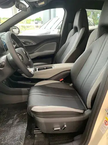 BYD Dolphin Mini GS 2026