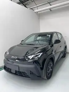 BYD Dolphin Mini Gs 2026