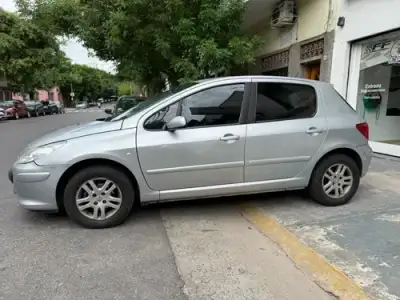 Peugeot 307 1.6 Xt 110cv 2008