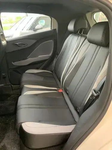 BYD Dolphin Mini GS 2026