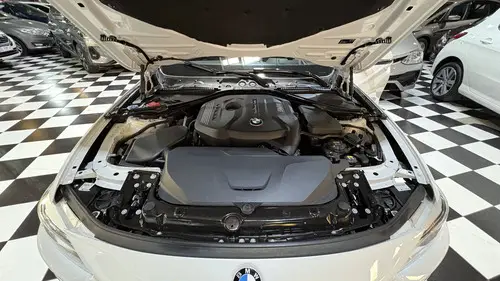 BMW Serie 4 2.0 430i Gran Coupe Sportline 252cv 2017