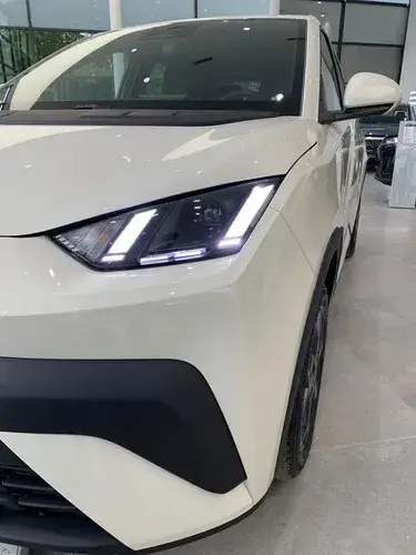 BYD Dolphin Mini GS 2026