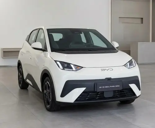 BYD Dolphin Dolphin mini GS 2026