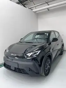BYD Dolphin Mini Gs 2026