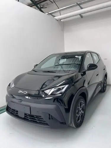 BYD Dolphin Mini Gs 2026