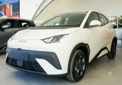 BYD Dolphin Dolphin mini GS 2026