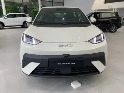 BYD Dolphin Mini GS 2026
