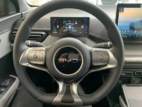 BYD Dolphin Mini GS 2026